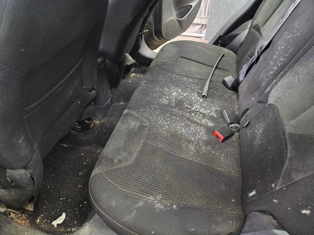 avant sieges moisi nettoyage dhrautoclean